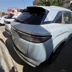 بي واي دي سونغ L DM-i